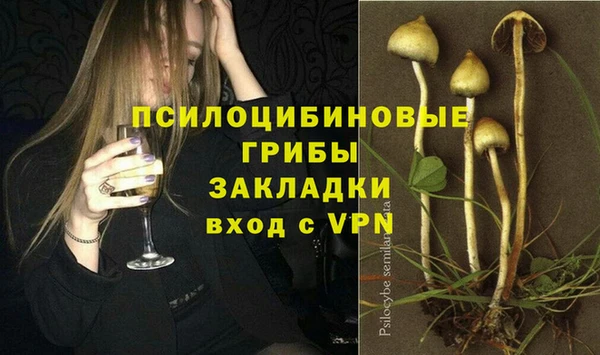 прущая мука Белокуриха
