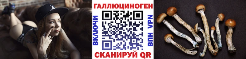 мориарти телеграм  Гороховец  Галлюциногенные грибы MAGIC MUSHROOMS  купить  